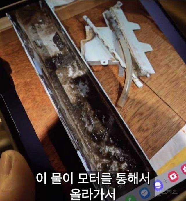 제빙기 관리자가 아아 안마시는 충격적인 이유(사진주의)