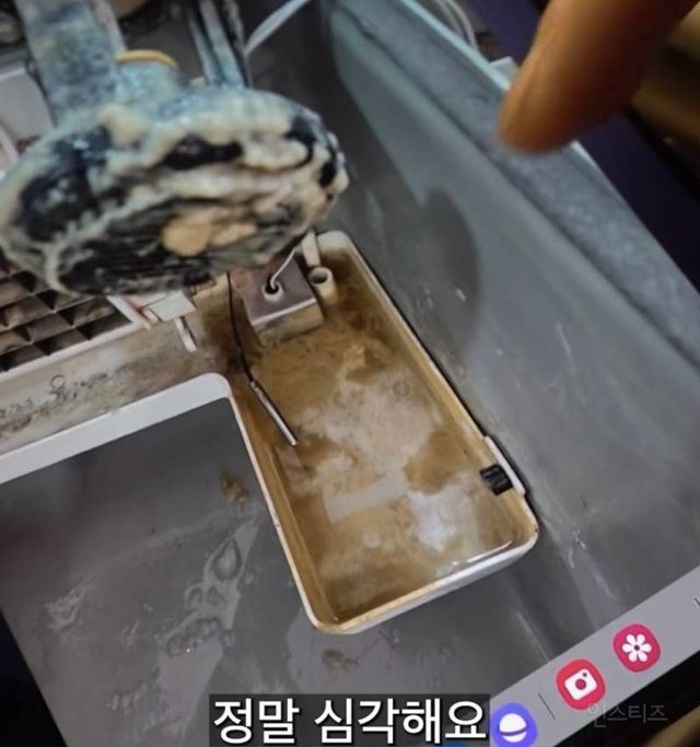 제빙기 관리자가 아아 안마시는 충격적인 이유(사진주의)