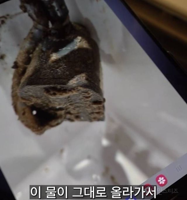 제빙기 관리자가 아아 안마시는 충격적인 이유(사진주의)