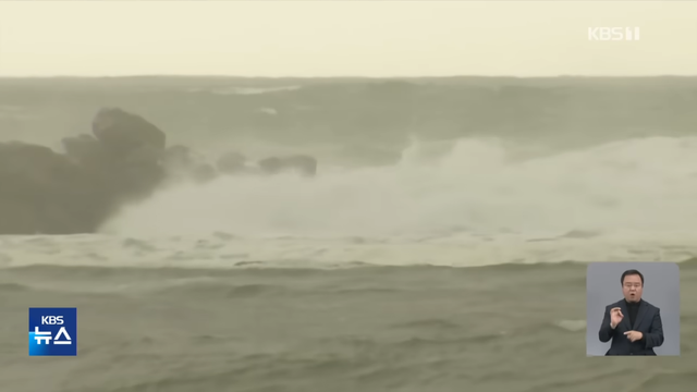 KBS News - [글로벌K] 미국에 처음 나타났어요 새 한 마리에 난리났다 KBS 2024.05.09. [I-6XQcR_vTE - 1145x644 - 0m45s].png