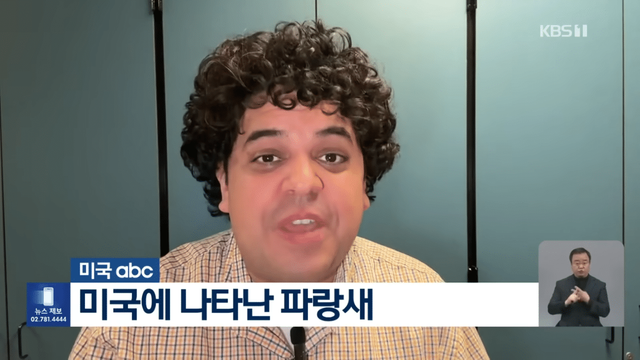 KBS News - [글로벌K] 미국에 처음 나타났어요 새 한 마리에 난리났다 KBS 2024.05.09. [I-6XQcR_vTE - 1145x644 - 0m05s].png