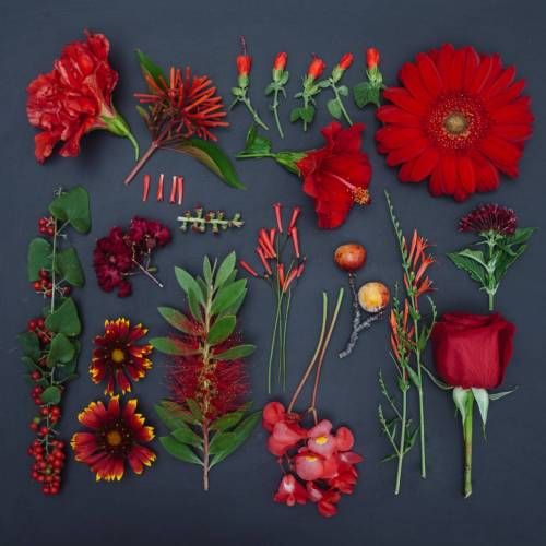 남다른 색감과 배치감각으로 만들어진 사진