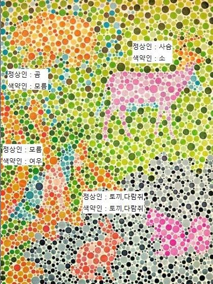 같은 그림이지만 색각정상자와 색약자가 다르게 보는 그림