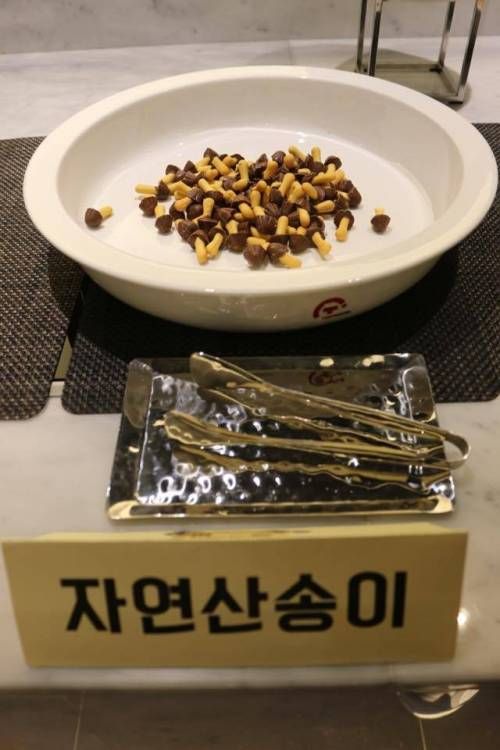 유세윤 광고회사 디너파티