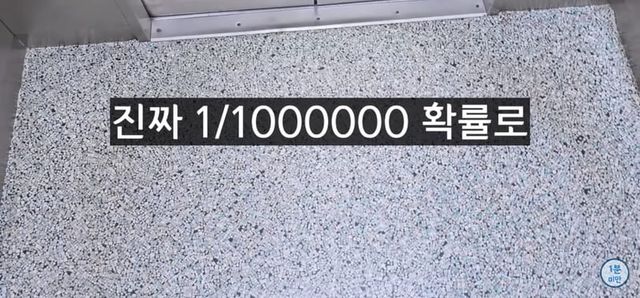 엘리베이터 추락시 100% 살아남는 유일한 방법.jpg