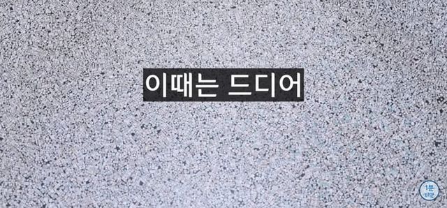 엘리베이터 추락시 100% 살아남는 유일한 방법.jpg