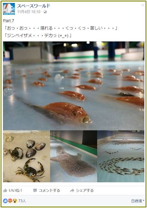 열도의 흔한 아이스링크.jpg