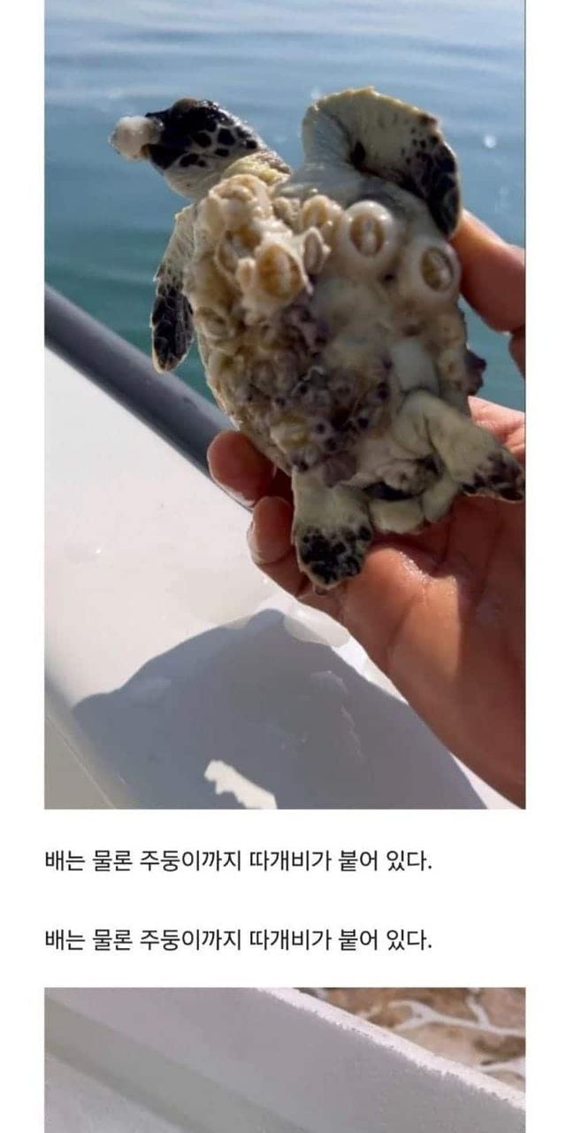 3ab53aee-437d-441b-a8c9-14afe14db1ef_1.jpg?area=BODY&requestKey=i7aOh15u