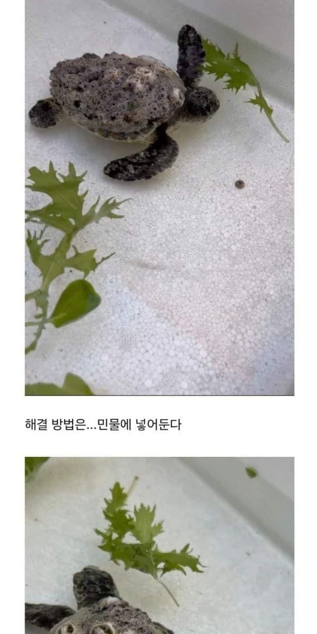 3ab53aee-437d-441b-a8c9-14afe14db1ef_2.jpg?area=BODY&requestKey=i7aOh15u