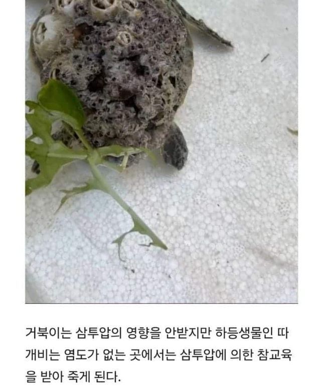 3ab53aee-437d-441b-a8c9-14afe14db1ef_3.jpg?area=BODY&requestKey=i7aOh15u