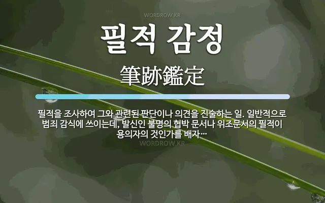 17151408884126.webp