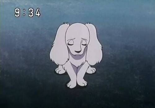 소녀 조교하고 충실한 개로 만드는 애니