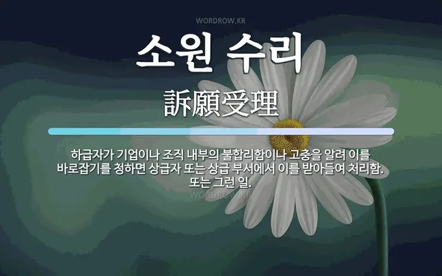 17151408853553.webp