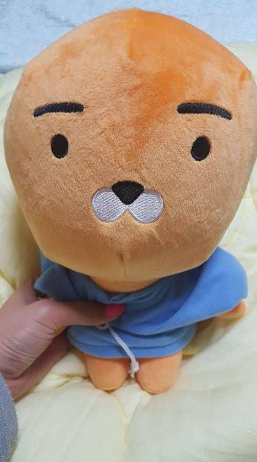 라이언 짝퉁대잔치 .jpg