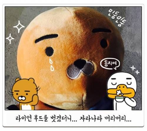 라이언 짝퉁대잔치 .jpg