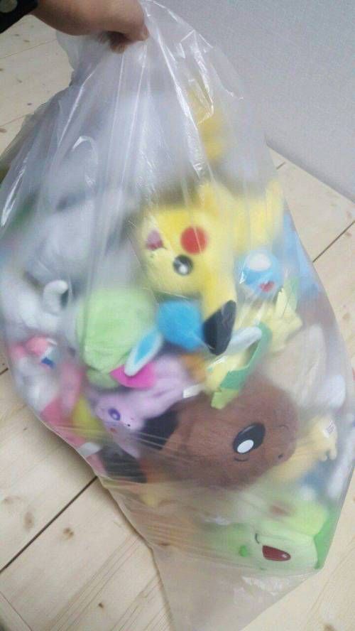 이사중인데, 로켓단이 된 기분이다