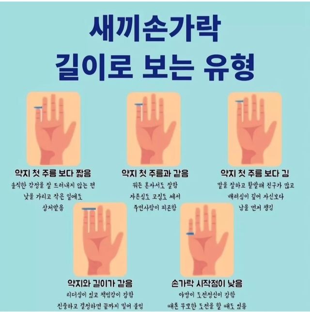 새끼손가락 길이로 보는 유형