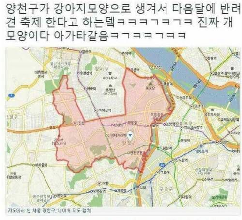 양천구 강아지 축제.jpg