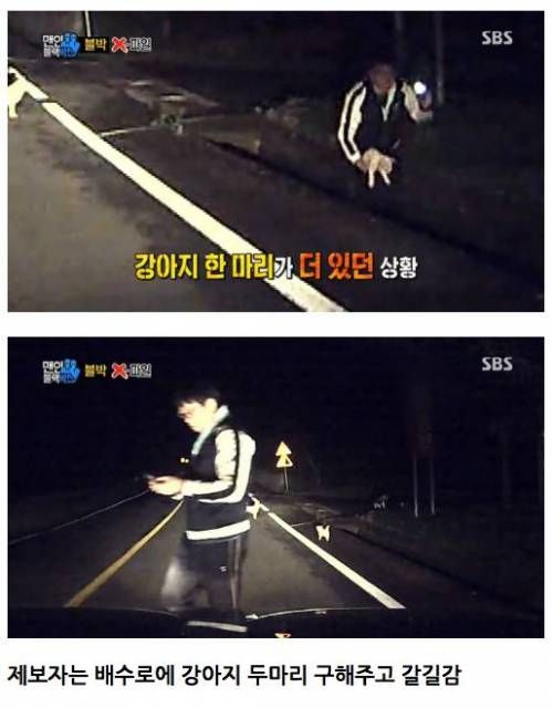 강아지를 구한 남자.JPG