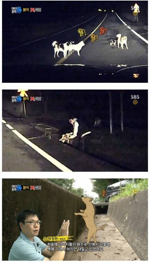 강아지를 구한 남자.JPG