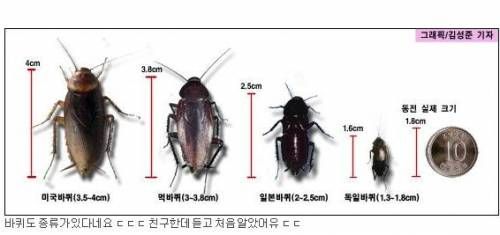 세스코 입사해서 교육중인 친구.jpg