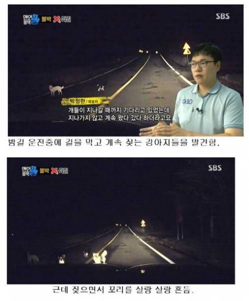 강아지를 구한 남자.JPG