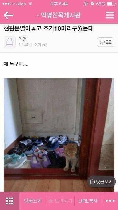 현관문열어놓고 조기 10마리 구웠는데...