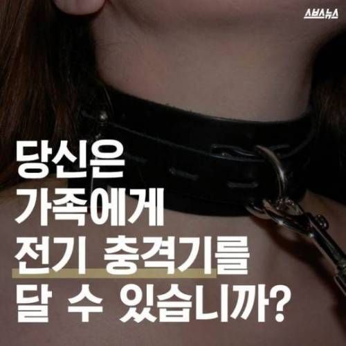당신은 가족에게 전기 충격기를 달 수 있습니까?