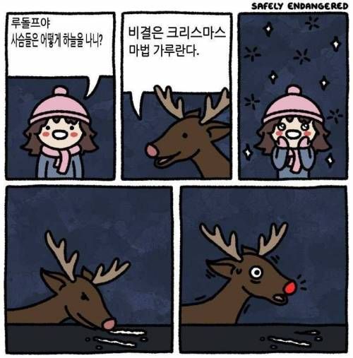 루돌프의 비밀.jpg