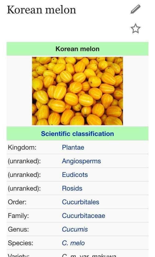 외국에서 한국 고유 과일로 착각하는것