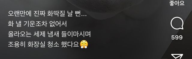  변기에 발포세정제 쓰지 마세요