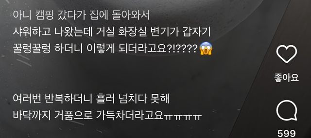  변기에 발포세정제 쓰지 마세요