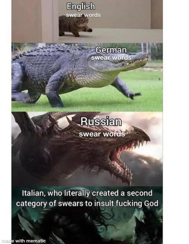 17155296388971.jpg
