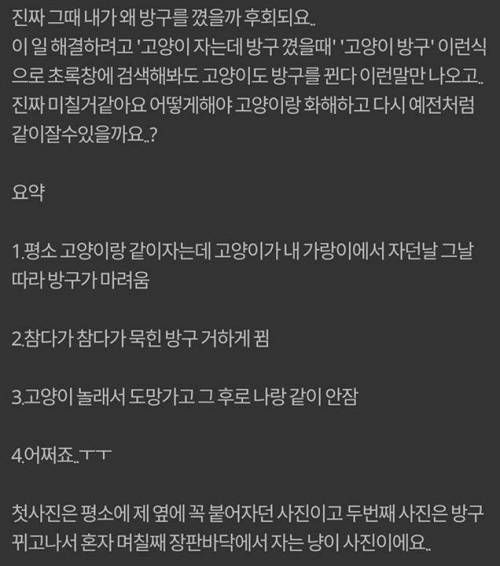 냥이의 화생방 대처.jpg