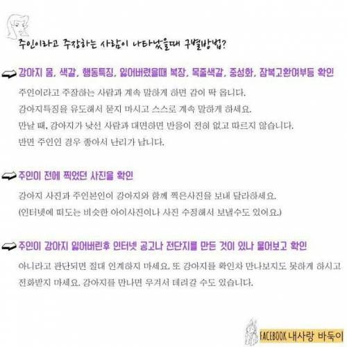강아지 잃어버렸을 때 찾는 법