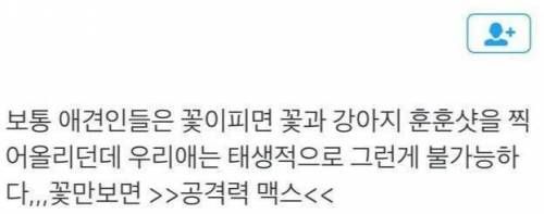 강아지와 함께 예쁜 꽃사진 찍기