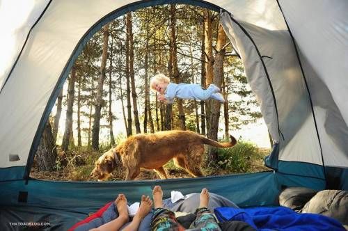 '윌'의 특별한 능력.jpg