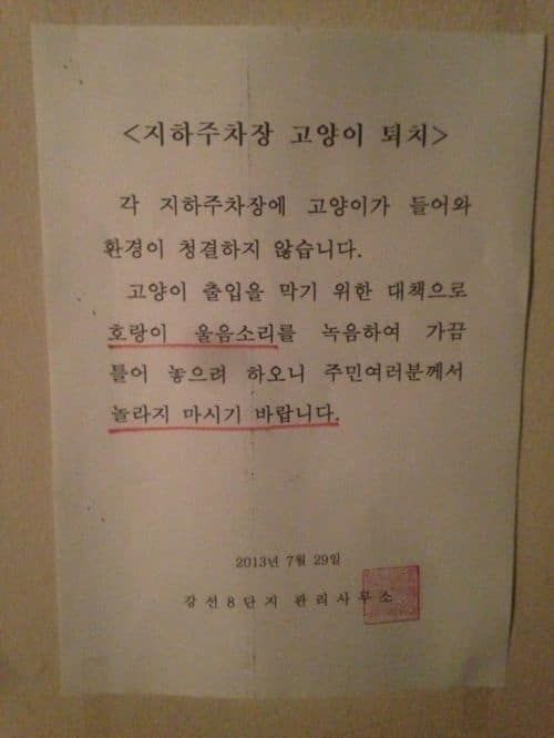 이런 발상은 없었다
