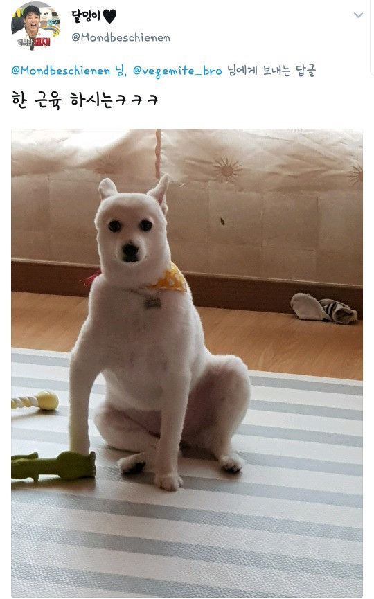 17120238729614.jpeg