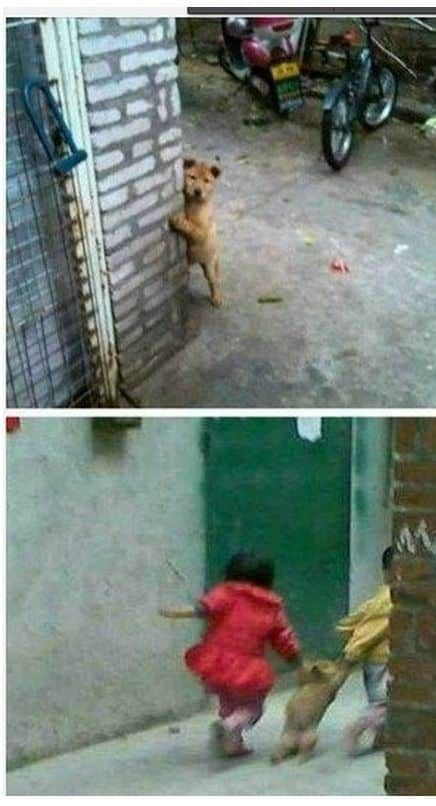 절대 들키면 안돼.jpg