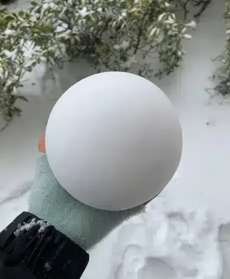 온 정성을 다한 눈덩이.jpg