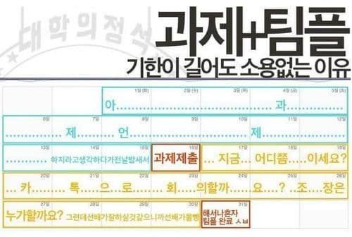 과제, 팀플 기한이 소용없는 이유