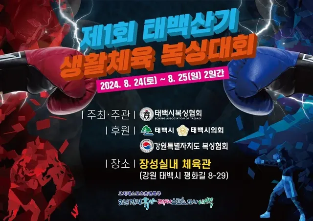 요즘 국내 복싱대회 포스터 수준