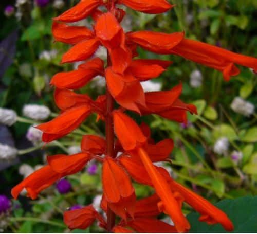 아는 사람만 아는 맛.jpg