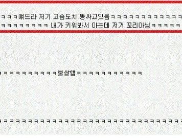 저거 꼬리아님.jpg