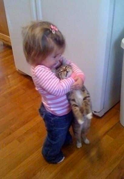 내가 쥐 잡으라 했어~안했어