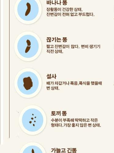 똥으로 알아보는.JPG
