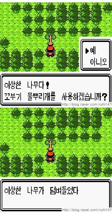 이상한 나무다.jpg