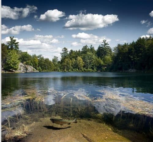 반투명한 사진.jpg