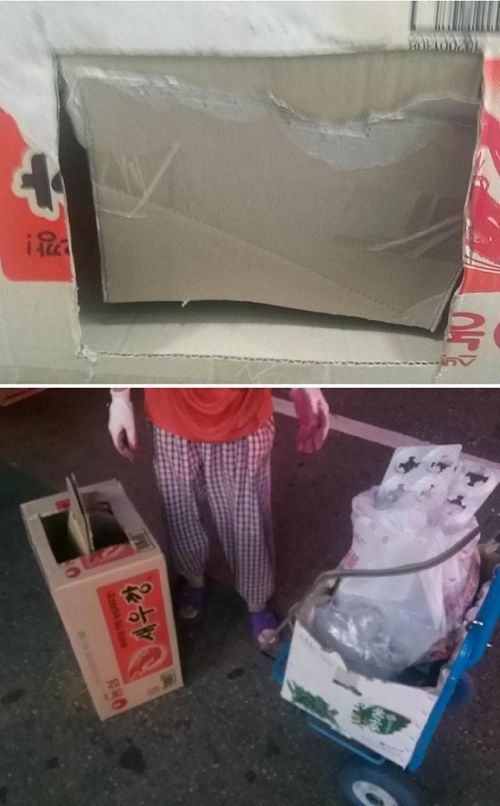 고양이 잡는법.jpg